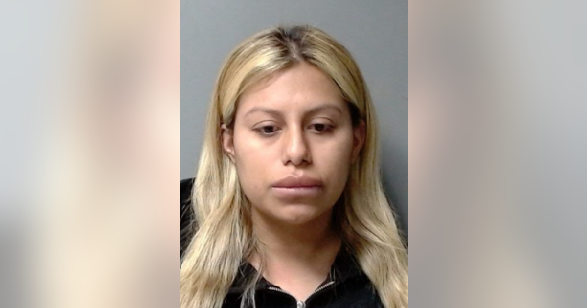 Woman charged in fatal hit-and-run near Chicago Executive Airport, police say