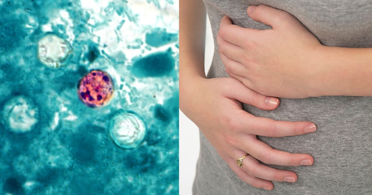 Cyclosporiasis in Illinois: Cases are higher than average. Here's how to avoid getting sick