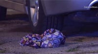 Chicago crime: Man killed, 13-year-old boy shot in separate incidents; several others hurt overnight