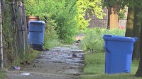 Apparent human remains found in Chicago South Side alley, police say
