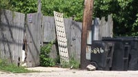 Human remains found in Chicago alley spark renewed concerns: 'Very disturbing'