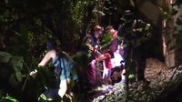 CTA passengers escorted to safety after tree on tracks derails train