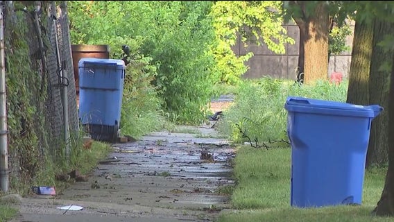 Apparent human remains found in Chicago South Side alley, police say