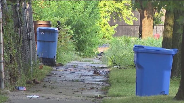 Apparent human remains found in Chicago South Side alley, police say