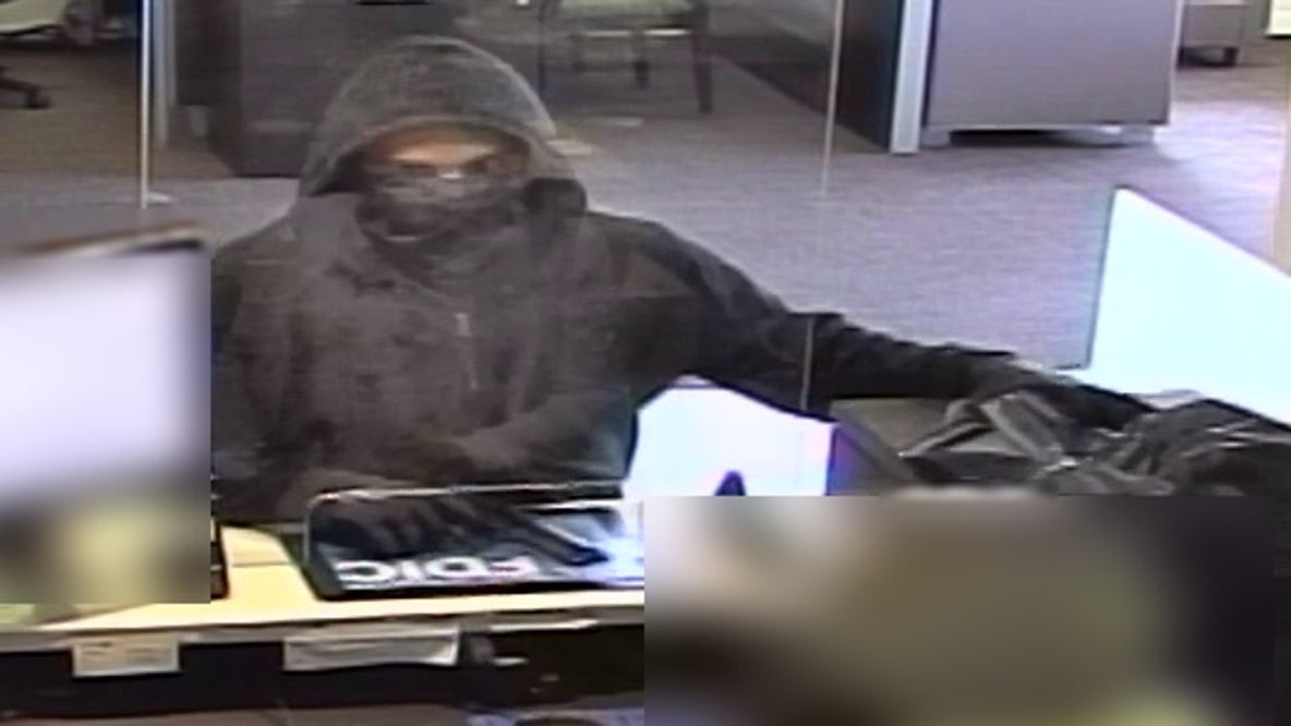 Man sentenced after robbing 6 banks in 4 Chicago suburbs