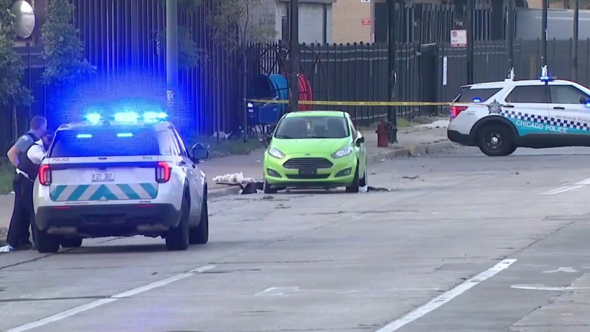 Chicago police investigate possible shooting near Dan Ryan in South Loop