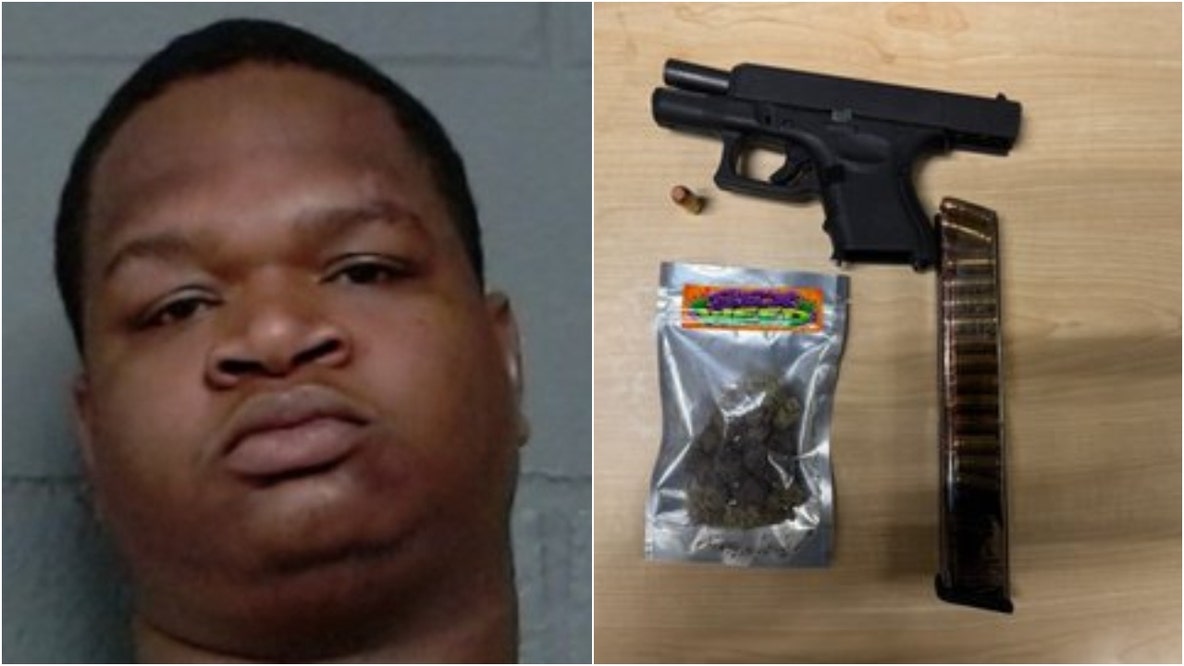 Suburban Chicago man charged after deputies find stolen gun during traffic stop