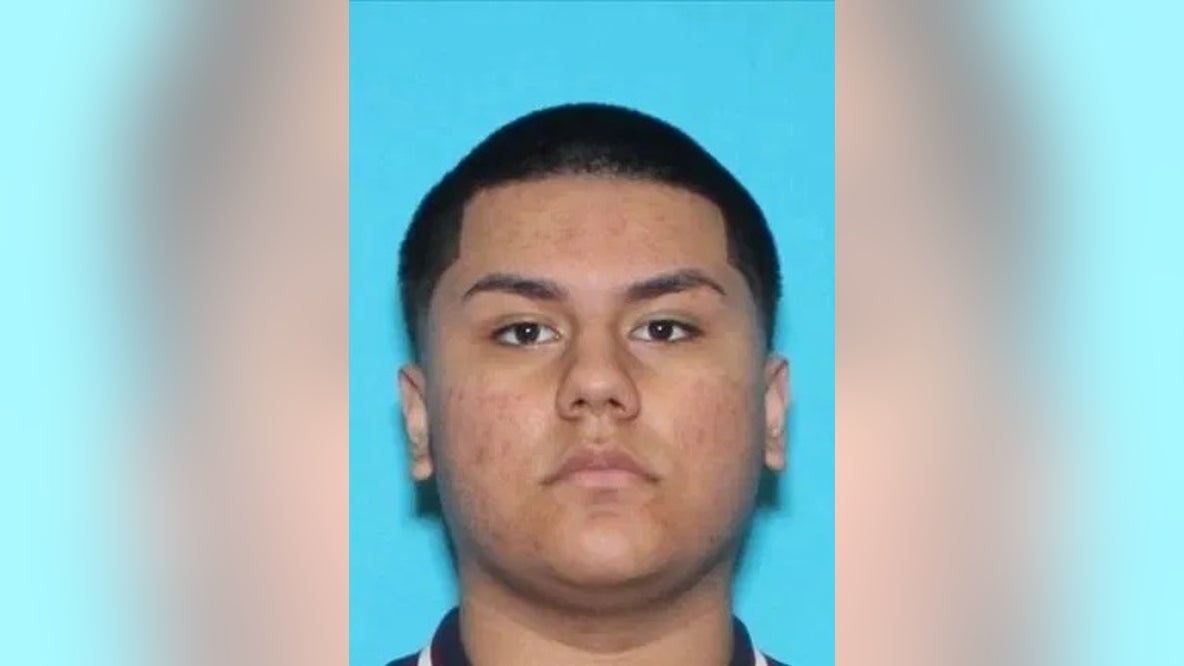 Palatine police seek murder suspect 3 years after teen's shooting death