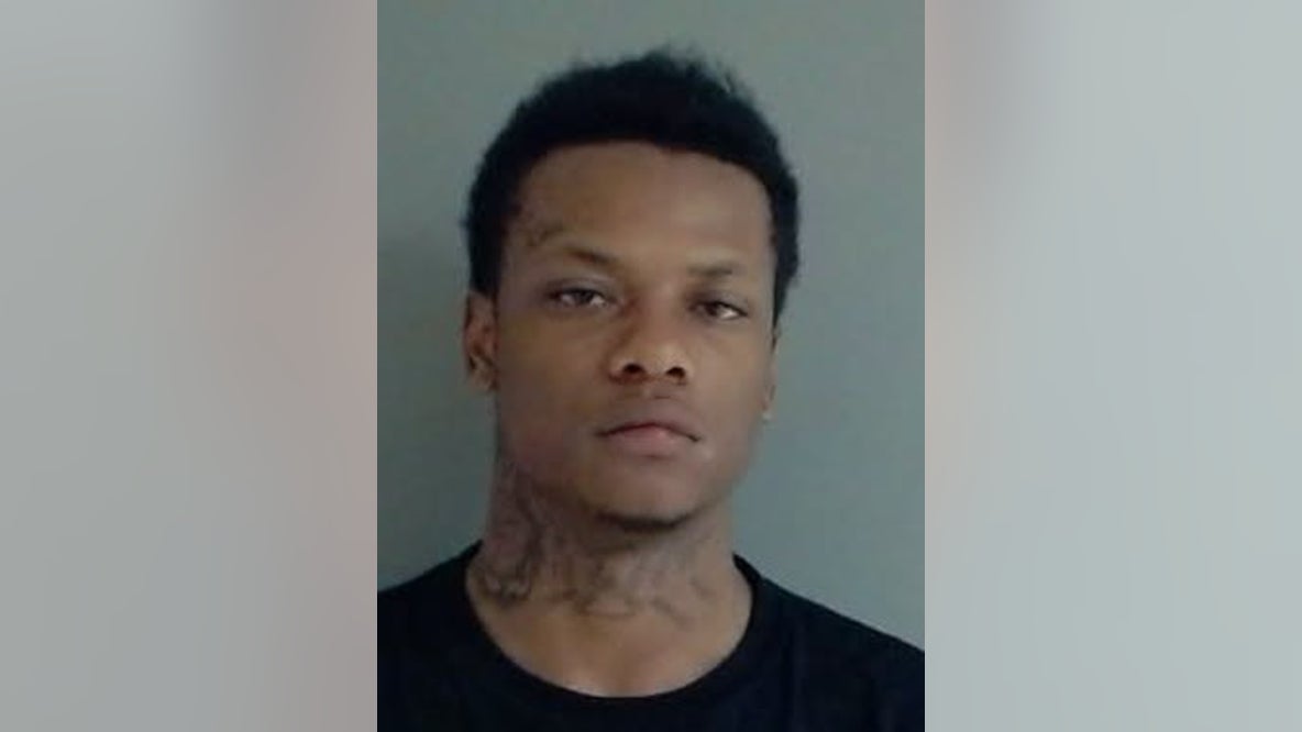 Elk Grove Village man allegedly ran from officers during traffic stop, police recover loaded gun