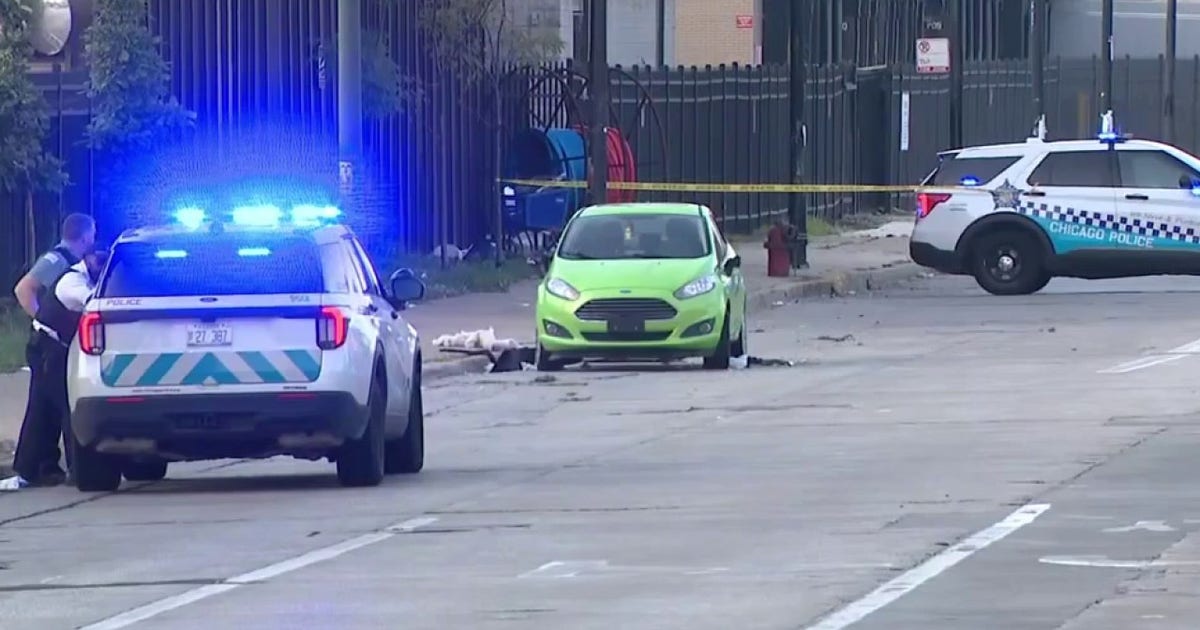 Chicago police investigate possible shooting near Dan Ryan in South Loop