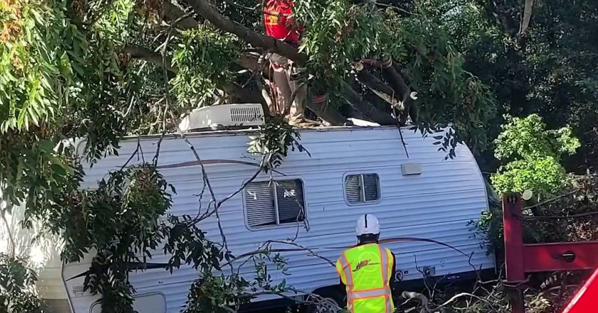 Crushed, not paused: Storm destroys ‘Trudy,' a lifeline for Lake County pets