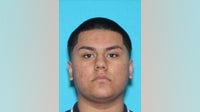 Palatine police seek murder suspect 3 years after teen's shooting death