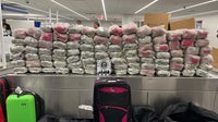 Over 1,000 pounds of khat seized in Chicago, 3 arrested