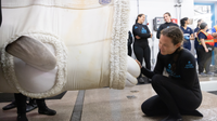 Peekachu, rescued beluga whale at Shedd Aquarium, dies suddenly
