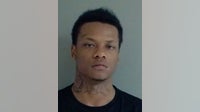 Elk Grove Village man allegedly ran from officers during traffic stop, police recover loaded gun
