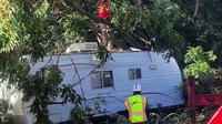 Crushed, not paused: Storm destroys ‘Trudy,’ a lifeline for Lake County pets