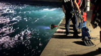 CPD: Man dies, another hospitalized after falling into Lake Michigan