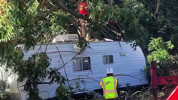 Crushed, not paused: Storm destroys ‘Trudy,’ a lifeline for Lake County pets