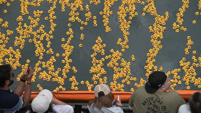 Chicago Ducky Derby: 85,000 rubber ducks race for charity