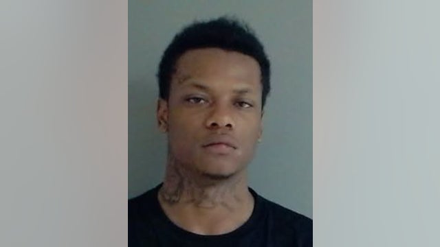 Elk Grove Village man allegedly ran from officers during traffic stop, police recover loaded gun