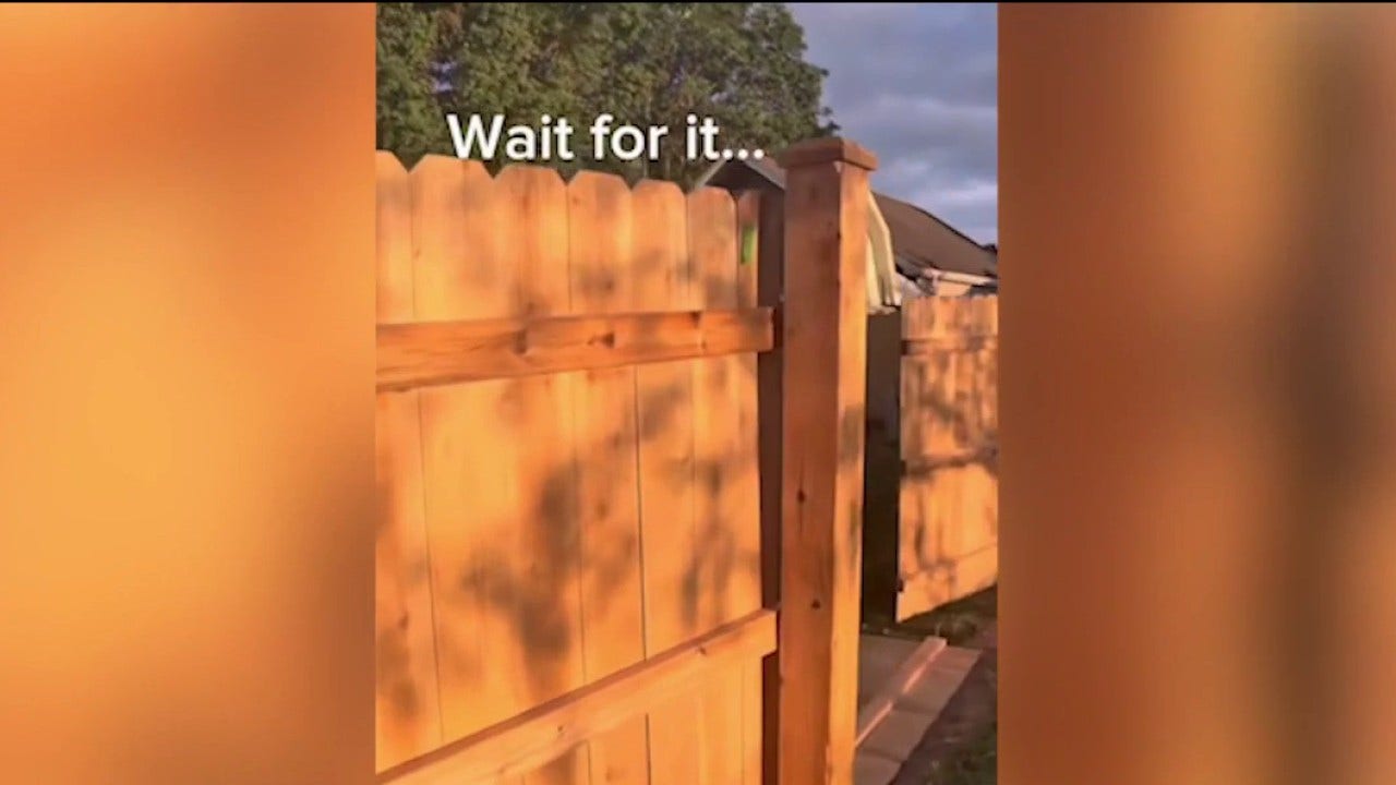Chicago-area fence dispute goes viral after contractors tear down newly installed fence
