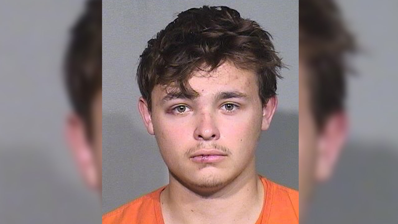Fox River Grove man pleads guilty in DUI crash that killed teen siblings