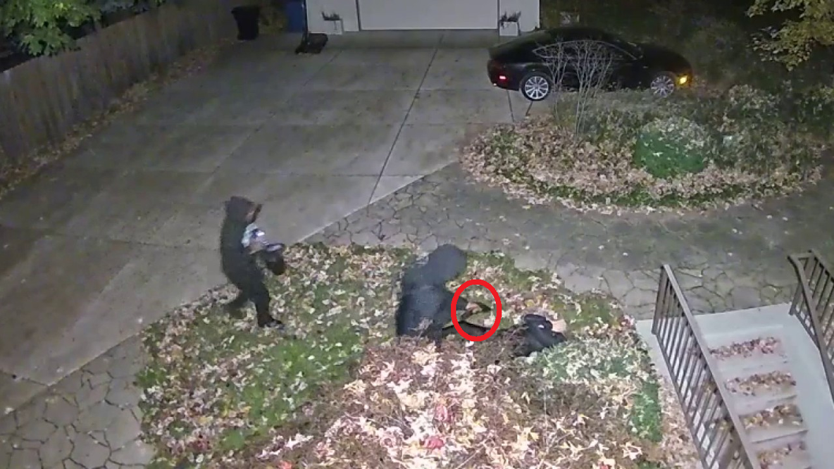 Chicago men sentenced for Beverly carjacking captured on video