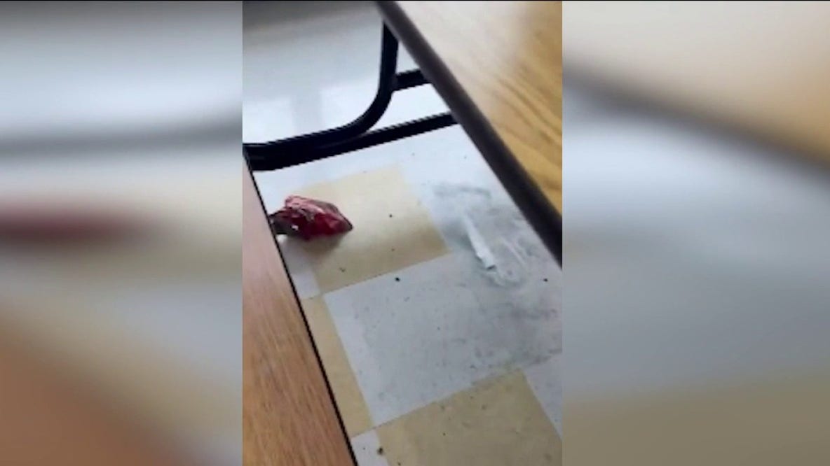 Blue Island School District parents raise concerns over unsanitary school conditions
