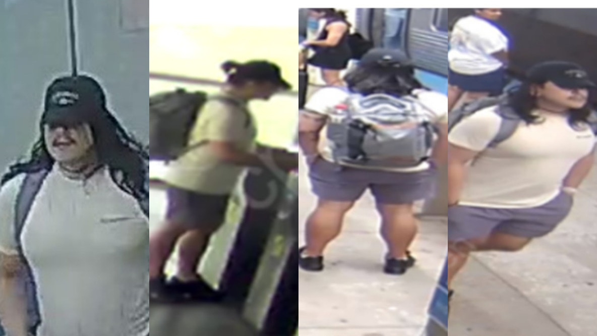 Chicago police warn of recent sexual abuse incidents in Wicker Park, Avondale