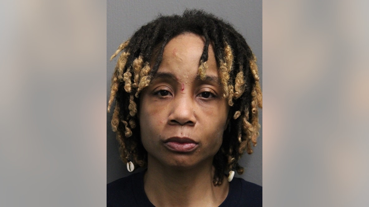 Chicago woman charged with murder in Englewood shooting