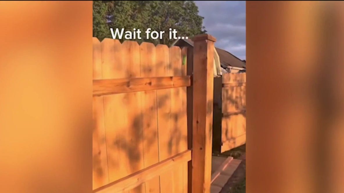 Chicago-area fence dispute goes viral after contractors tear down newly installed fence