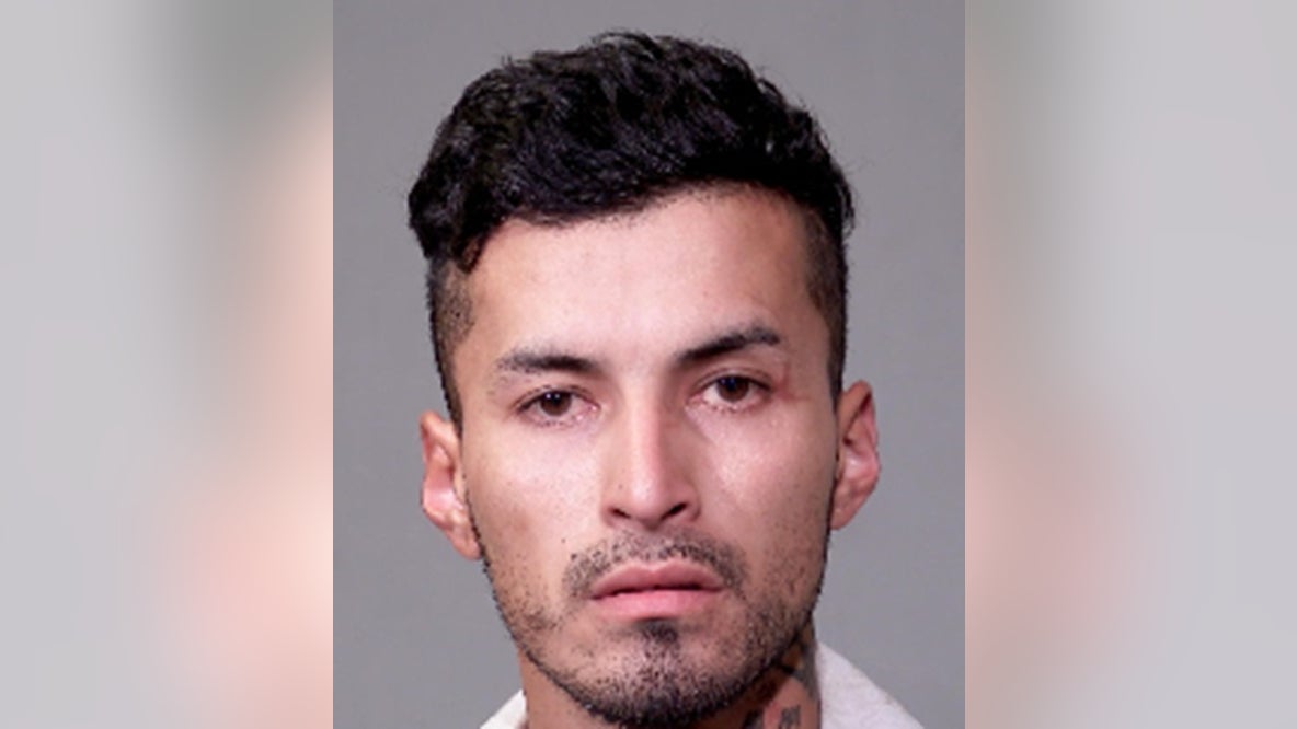 Joliet man accused of home burglary, fleeing police while carrying gun