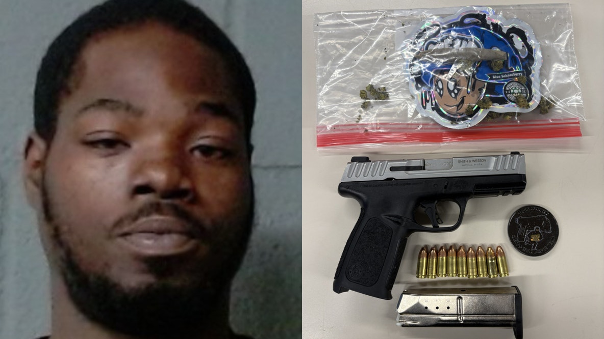 Loaded gun found after Chicago man searched for holding blunt, sheriff's police say