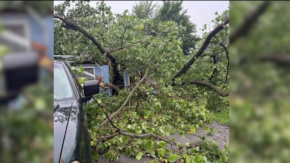 Indiana father of six recovering after storm sends tree crashing through dealership