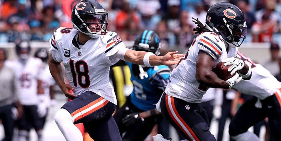 How we grade the Chicago Bears vs. the Carolina Panthers