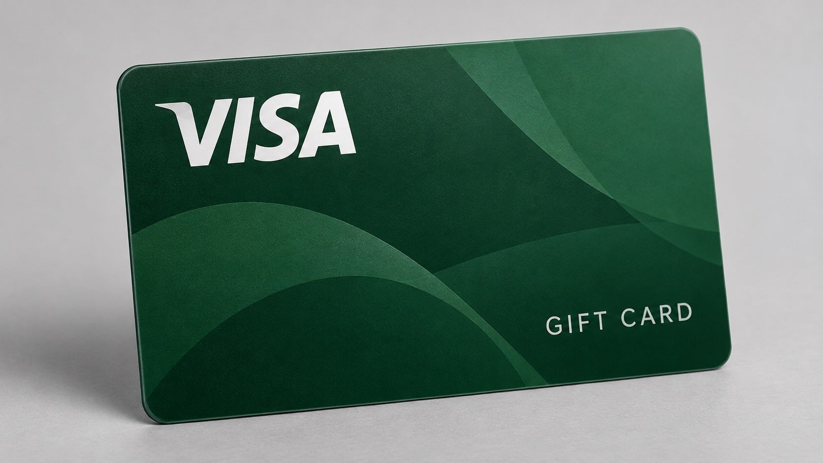 Elk Grove Village to distribute $200 Visa cards using data center revenue