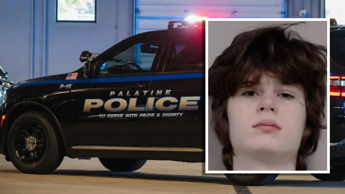 Teen accused of plotting mass shooting at Chicago-area Hindu place of worship