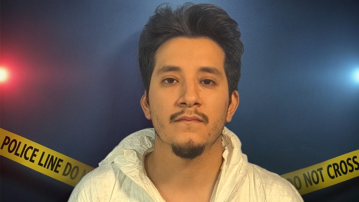 Illinois man sentenced after stabbing girlfriend to death in front of mother