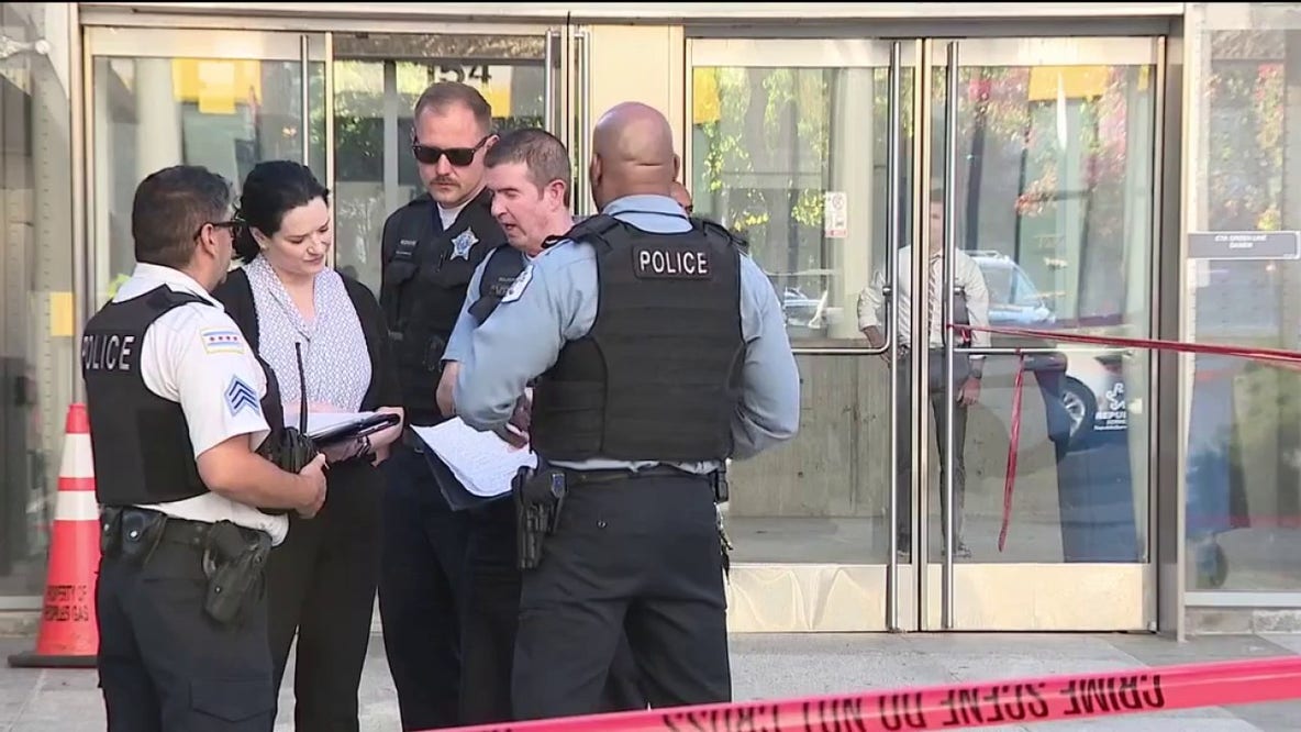 CTA employee fatally stabbed at Damen Green Line station, Chicago police say