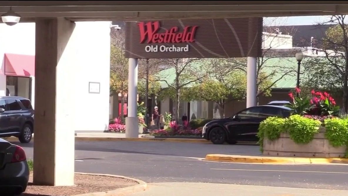 Man detained after woman attacked, held underwater in pond at Skokie mall, police say