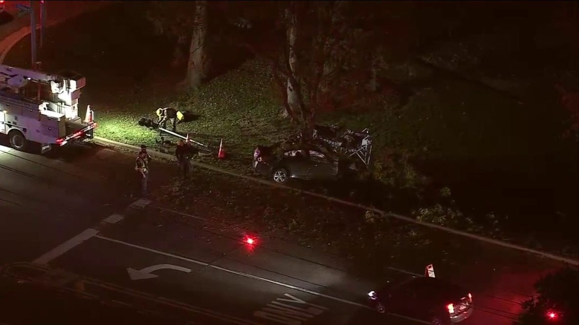 Schaumburg man killed when car crashes into pole, tree in Palatine