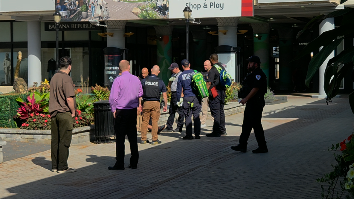 Man detained after woman attacked, held underwater in pond at Skokie mall, police say