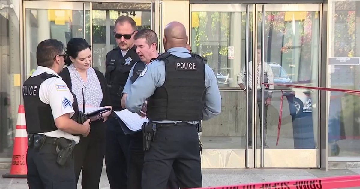 CTA employee fatally stabbed at Damen Green Line station, Chicago ...