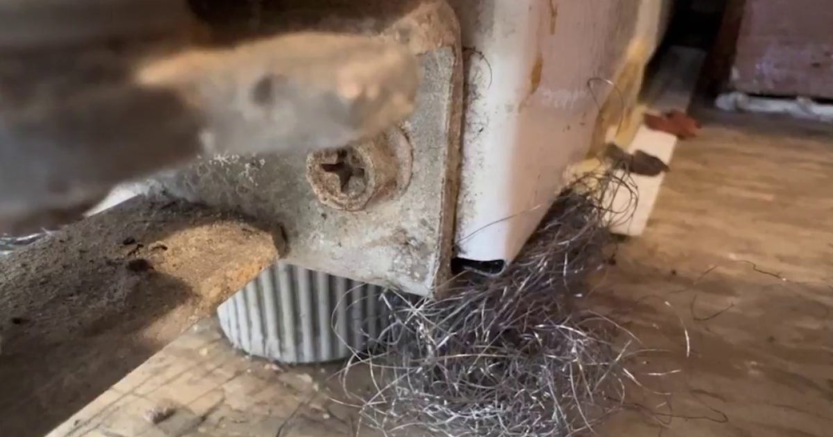 Mice, roaches and failed inspections: South Side residents cry for help as city takes owner to court
