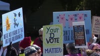 Chicago early voting expands Monday as No Kings rallies push turnout