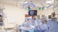 New institute aims to make Northwestern Medicine a transplant destination
