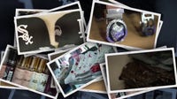 Following the money: Inside Cook County crackdown on cargo theft, stolen goods