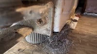 Mice, roaches and failed inspections: South Side residents cry for help as city takes owner to court