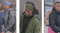 Chicago woman attacked, robbed after suspects followed her onto CTA train, police say