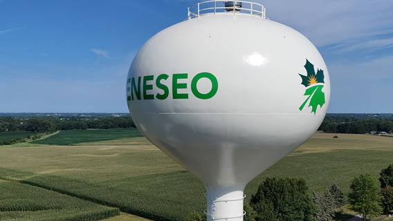 Multiple Illinois water towers nominated for 'Tank of the Year'